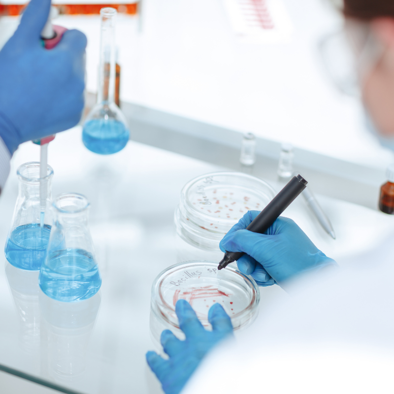 clothing manufacturer