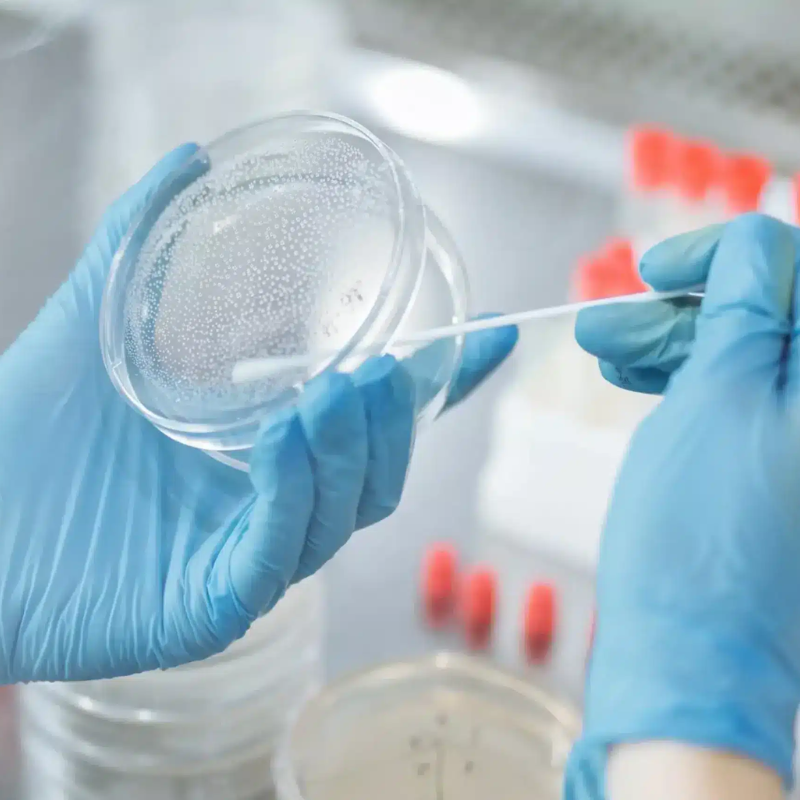 clothing manufacturer